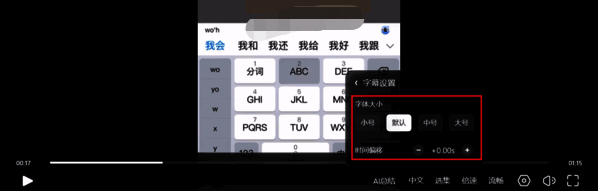 夸克网盘视频字幕设置界面