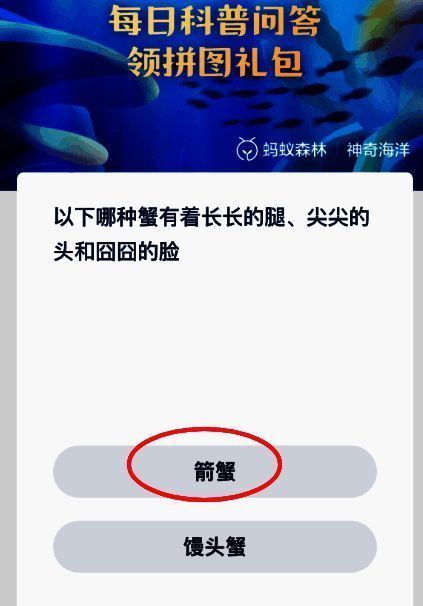 支付宝神奇海洋相关图片2