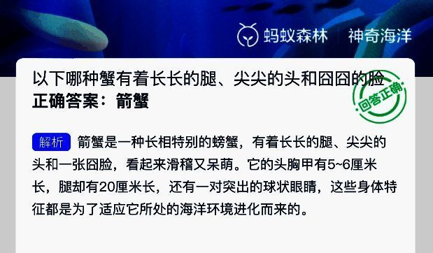 支付宝神奇海洋相关图片3