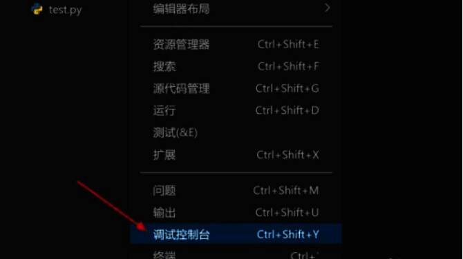 调试控制台面板图