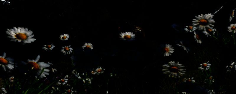 天国:拯救2给马装备马鞍相关界面截图