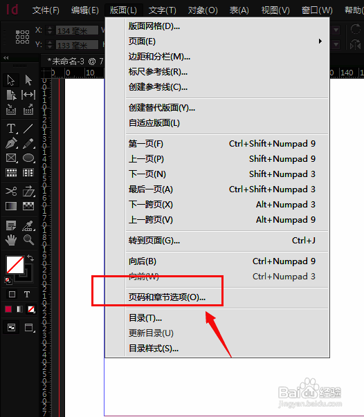 页码和章节选项设置位置图