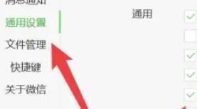 微信电脑版通用设置中的适配系统缩放比例选项