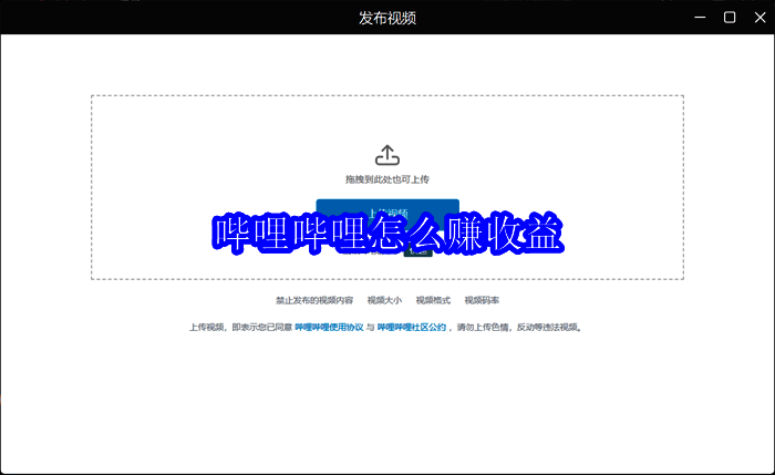 哔哩哔哩收益介绍配图