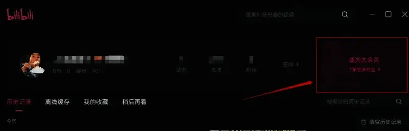 哔哩哔哩大会员相关图片