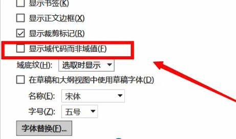 勾选显示域代码而非域值选项配图