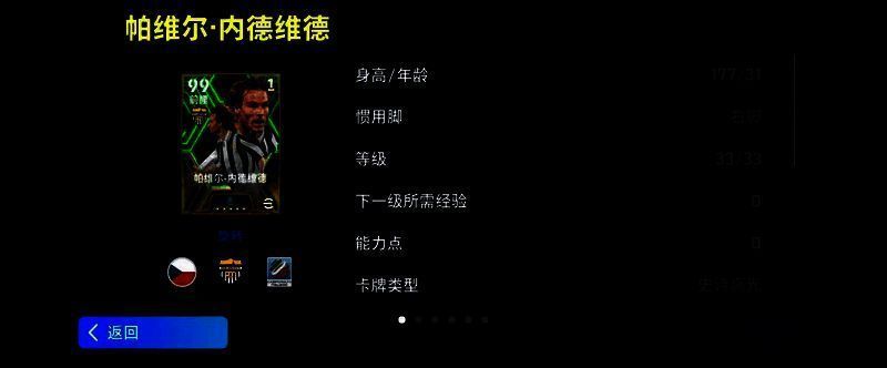 内德维德赛场英姿