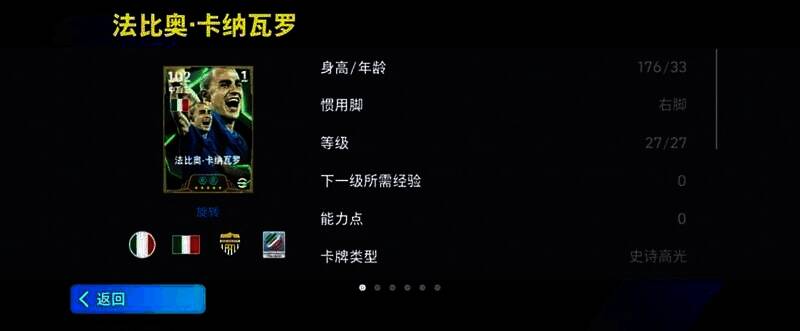 卡纳瓦罗赛场英姿