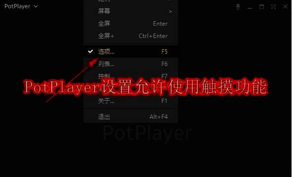 PotPlayer相关配图1