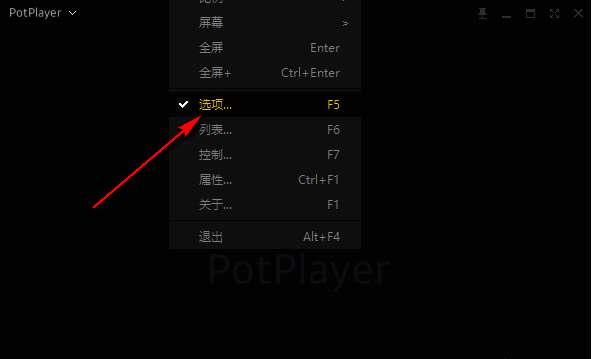 PotPlayer选项设置界面图