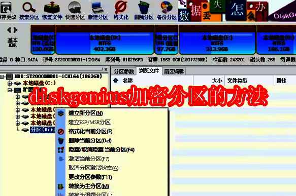 Diskgenius软件相关图片