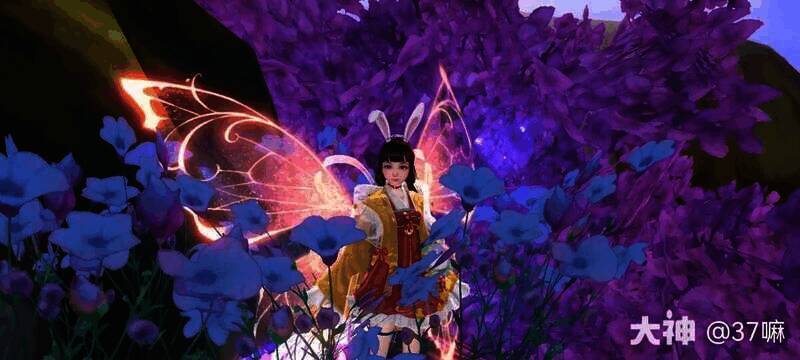 庄生梦蝶羽翼搭配图2