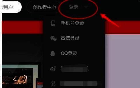 网易云音乐VIP会员中心入口图