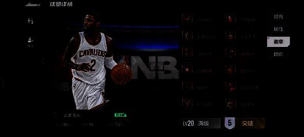 美职篮全明星球员徽章展示