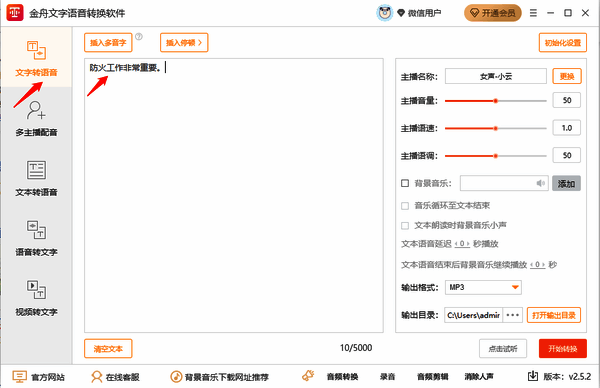 金舟文字语音转换软件输入文字界面图