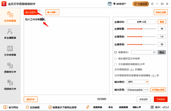 金舟文字语音转换软件插入多音字操作界面图