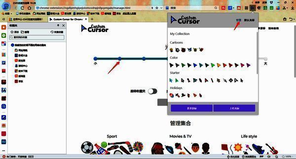 管理鼠标大小设置页面