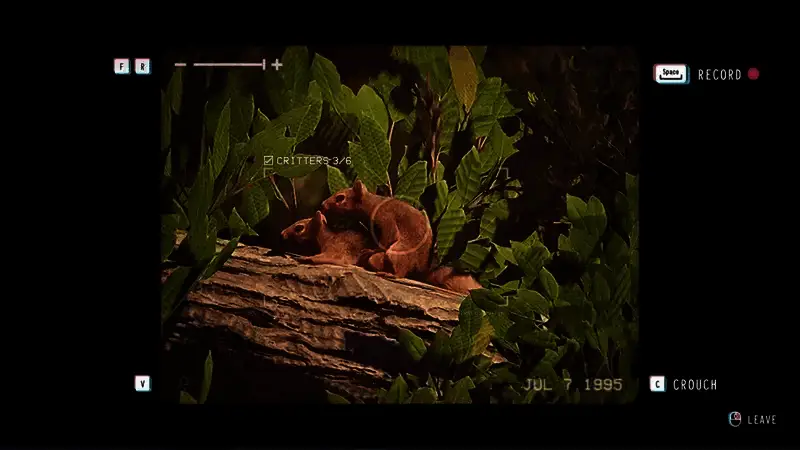 《失落的记录:绽放与愤怒》松鼠交配位置相关图片