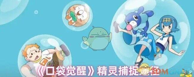 口袋觉醒游戏画面