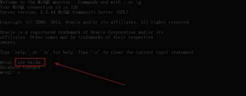 选择数据库的语句示例