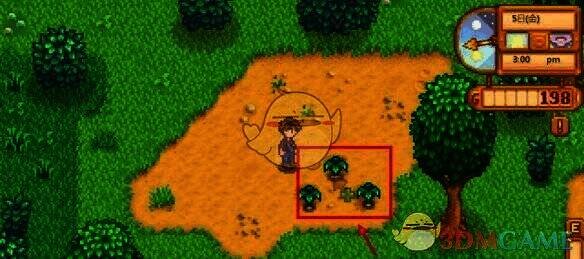 星露谷物语收获大葱获得经验值界面图