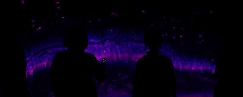 《失落的记录:绽放与愤怒》相关画面