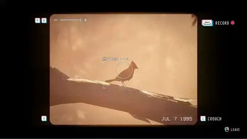 《失落的记录:绽放与愤怒》中北部红衣主教位置示意画面