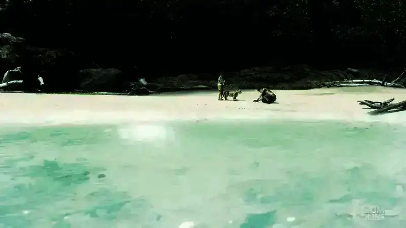 小男孩给真岛倒水的画面