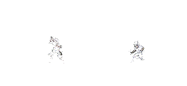 奥摩伊使用云流·虚晃一招的动图