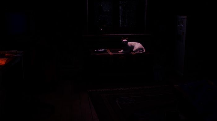 游戏中白猫相关图片