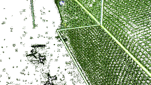 萨维奥拉接球加速变向