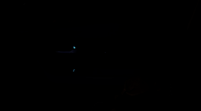 《失落的记录:绽放与愤怒》期望章节猫名选择画面