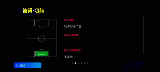 切赫精彩瞬间图片 2