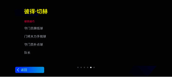 切赫精彩瞬间图片 10