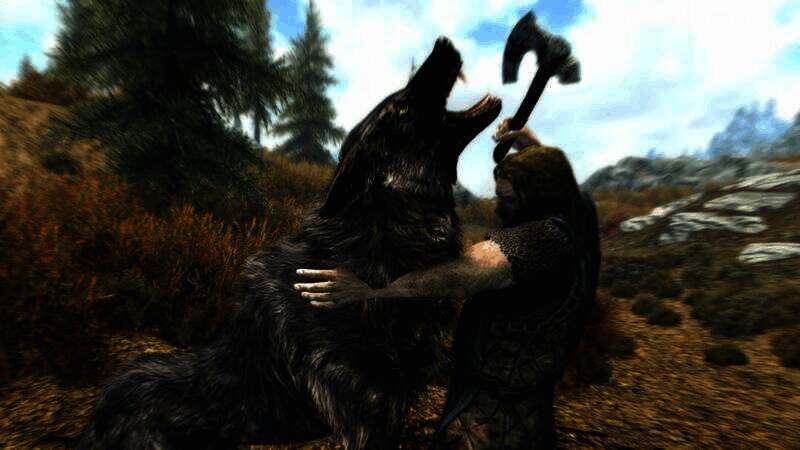 《上古卷轴5：天际》相关图片