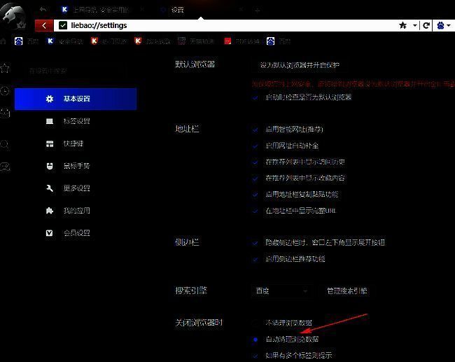 勾选猎豹浏览器自动清理浏览数据选项界面图