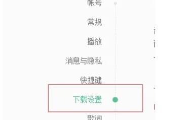 网易云音乐下载设置选项界面