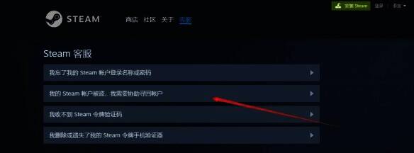 Steam客服选项图片1