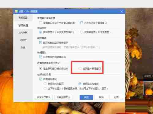 勾选返回图片管理器并确定界面图