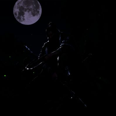 新武将陈到画面