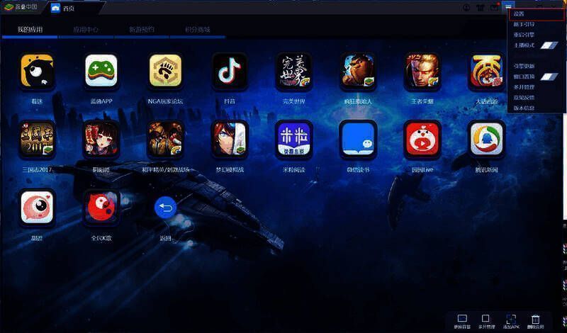 蓝叠模拟器设置界面图片