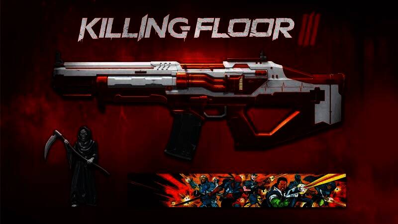 预购《杀戮空间3》获得的物品展示