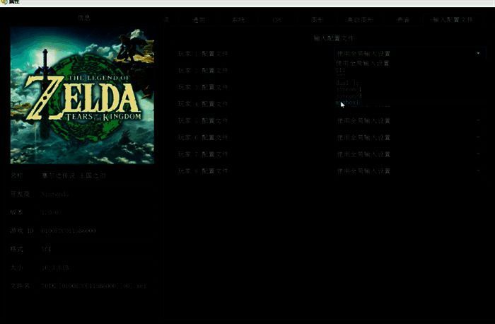 游戏属性页面设置配置文件界面