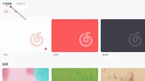 网易云音乐换肤界面的皮肤展示