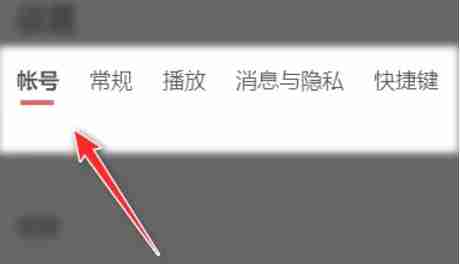 点击网易云音乐常规设置选项图片