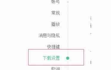 网易云音乐下载设置选项界面