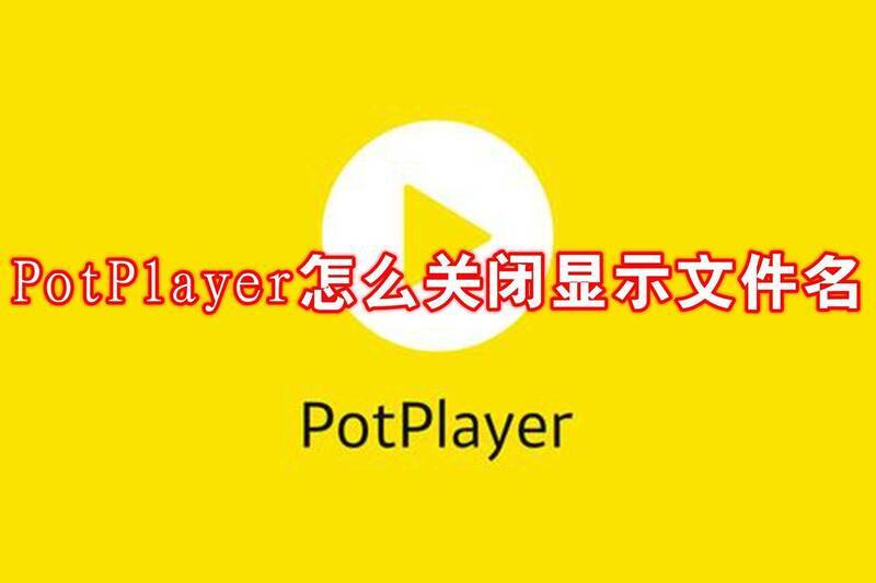 PotPlayer 界面图
