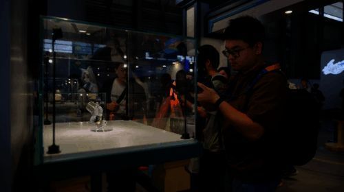 活动支持相关图片