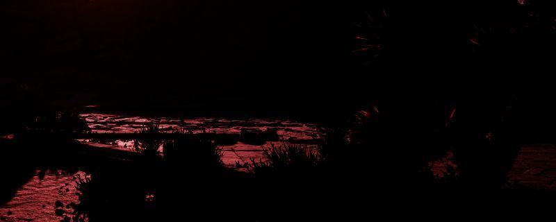 《宣誓》游戏相关图片