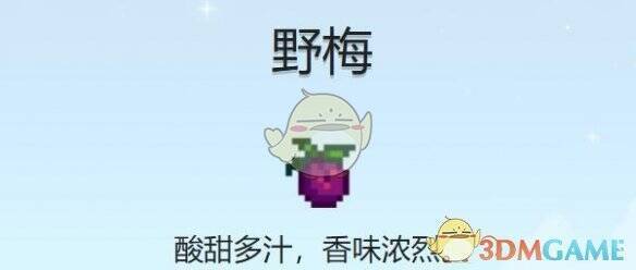 野梅采集地点相关图片